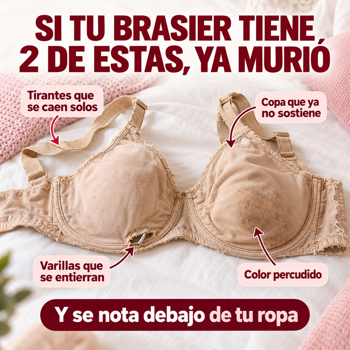 Brasier de Realce Natural Sin Aros – Paga 1 Lleva 3